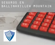 Seguros en  Ballinakillew Mountain