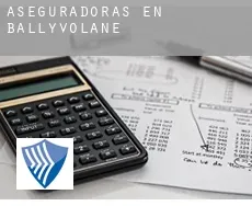 Aseguradoras en  Ballyvolane