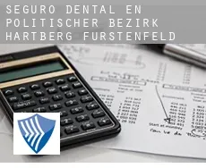 Seguro dental en  Politischer Bezirk Hartberg-Fürstenfeld