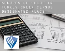 Seguros de coche en  Turkey Creek