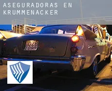 Aseguradoras en  Krummenacker
