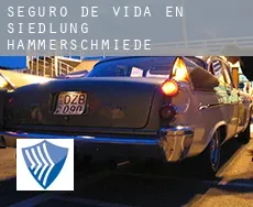 Seguro de vida en  Siedlung Hammerschmiede