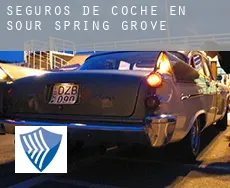 Seguros de coche en  Sour Spring Grove