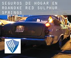 Seguros de hogar en  Roanoke Red Sulphur Springs