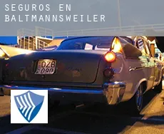 Seguros en  Baltmannsweiler