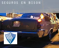 Seguros en  Bison