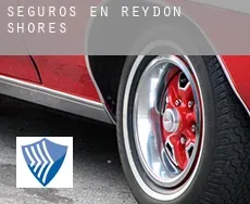Seguros en  Reydon Shores