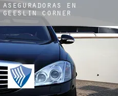 Aseguradoras en  Geeslin Corner