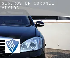 Seguros en  Coronel Vivida