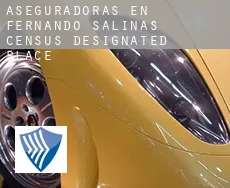 Aseguradoras en Fernando Salinas