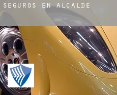 Seguros en  Alcalde