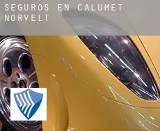 Seguros en  Calumet-Norvelt