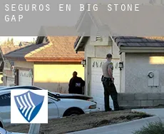 Seguros en  Big Stone Gap