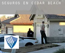 Seguros en  Cedar Beach