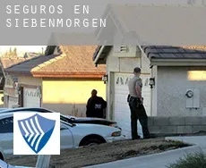 Seguros en  Siebenmorgen