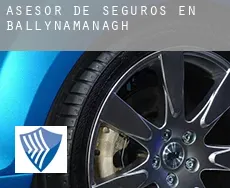 Asesor de seguros en  Ballynamanagh