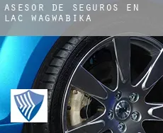 Asesor de seguros en  Lac-Wagwabika