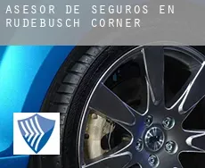 Asesor de seguros en  Rudebusch Corner