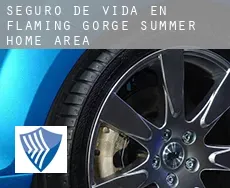 Seguro de vida en  Flaming Gorge Summer Home Area