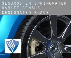 Seguros en  Springwater Hamlet
