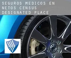 Seguros medicos en  Netos