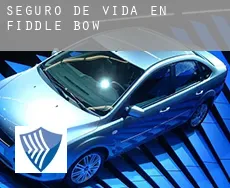 Seguro de vida en Fiddle Bow