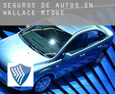 Seguros de autos en  Wallace Ridge