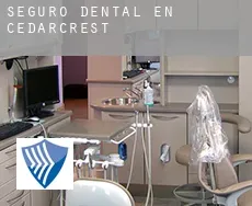 Seguro dental en  Cedarcrest