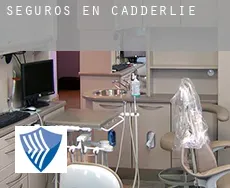 Seguros en  Cadderlie