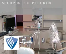 Seguros en  Pilgrim