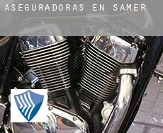 Aseguradoras en Samer