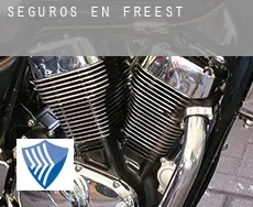 Seguros en  Freest