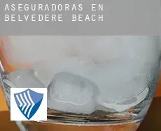 Aseguradoras en Belvedere Beach