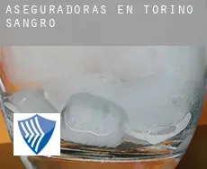 Aseguradoras en  Torino di Sangro