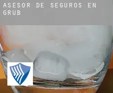 Asesor de seguros en  Grub