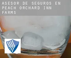 Asesor de seguros en  Peach Orchard Inn Farms