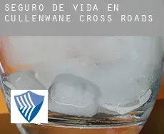 Seguro de vida en  Cullenwane Cross Roads