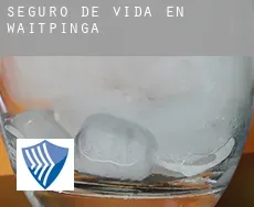 Seguro de vida en  Waitpinga