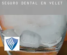 Seguro dental en Velet