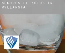Seguros de autos en  Wyelangta