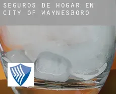 Seguros de hogar en  City of Waynesboro
