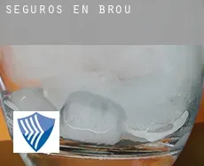 Seguros en  Brou