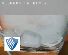 Seguros en  Dewey