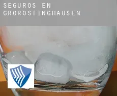 Seguros en  Großrostinghausen