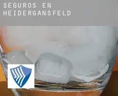Seguros en  Heidergansfeld