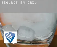 Seguros en  Ordu