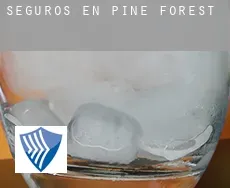 Seguros en  Pine Forest