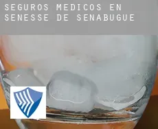 Seguros medicos en  Sénesse-de-Senabugue