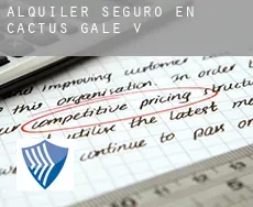 Alquiler seguro en Cactus Gale V