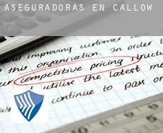 Aseguradoras en  Callow